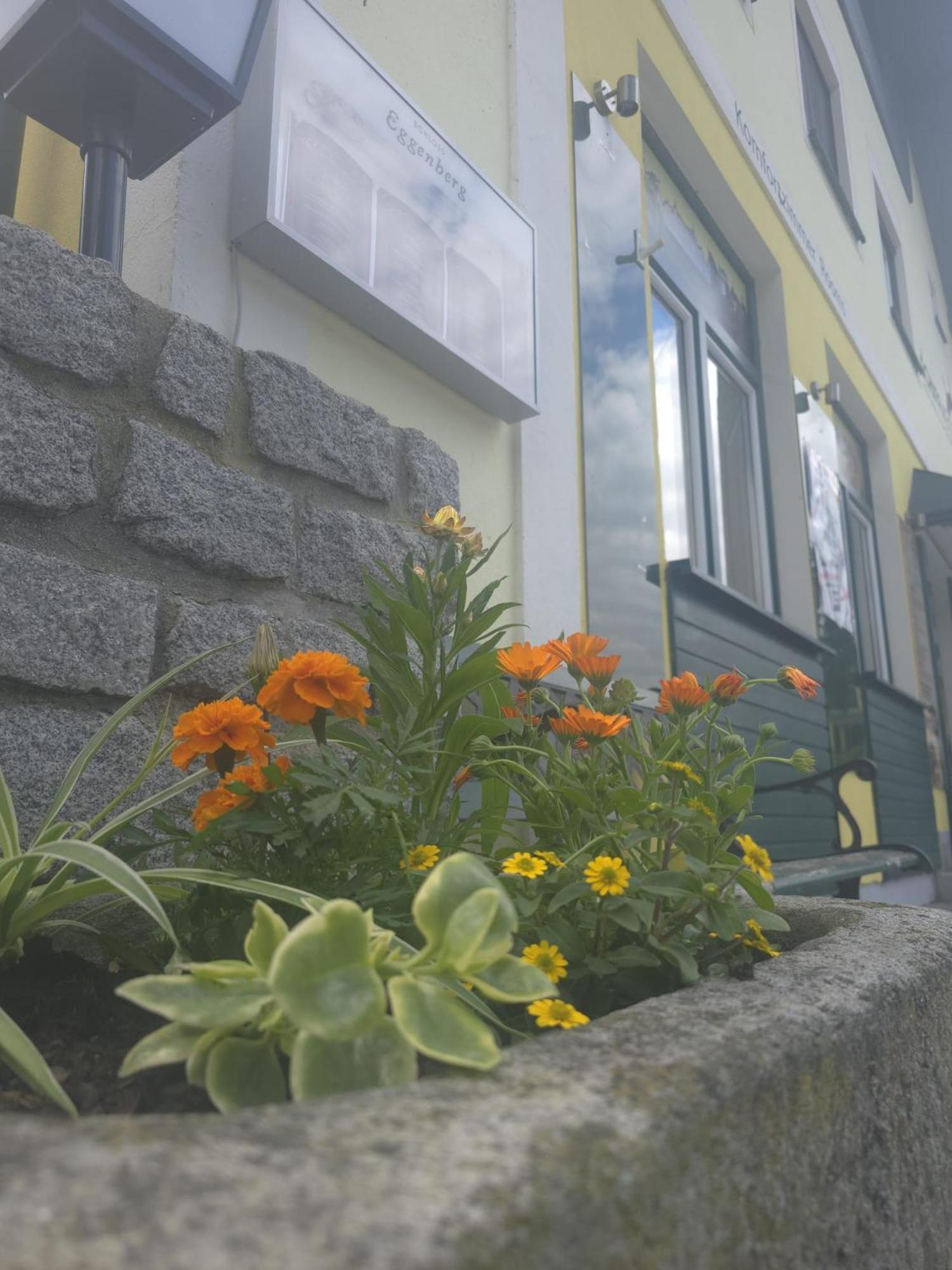 Gasthof Zum Schiffmeister Wesenufer Ngoại thất bức ảnh